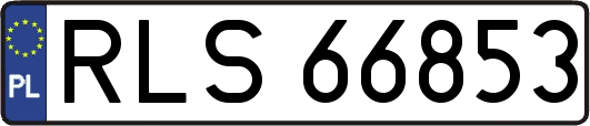 RLS66853