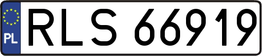 RLS66919