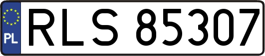 RLS85307