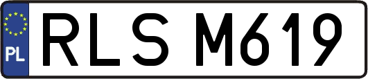 RLSM619