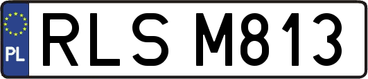 RLSM813