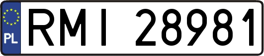 RMI28981