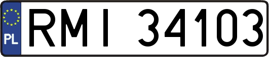 RMI34103