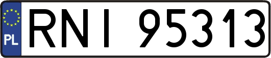 RNI95313
