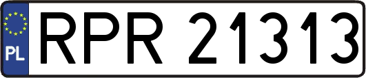 RPR21313