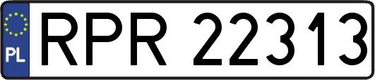 RPR22313