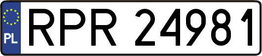 RPR24981