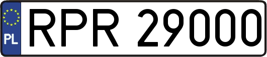 RPR29000