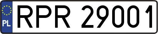 RPR29001