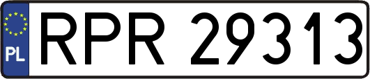 RPR29313