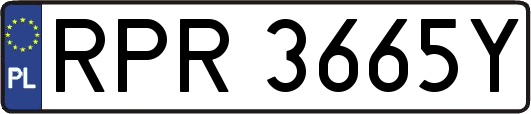 RPR3665Y