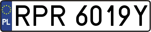 RPR6019Y
