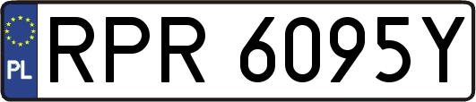 RPR6095Y