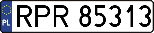 RPR85313