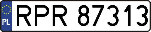 RPR87313