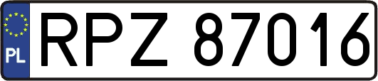 RPZ87016
