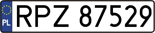 RPZ87529