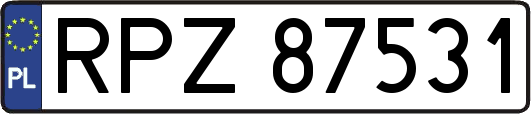 RPZ87531
