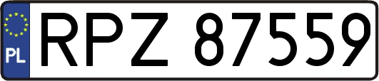 RPZ87559