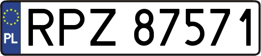 RPZ87571