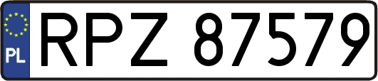 RPZ87579