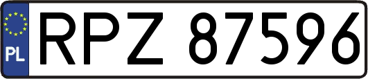 RPZ87596