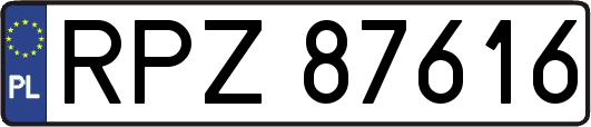RPZ87616