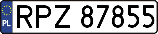 RPZ87855