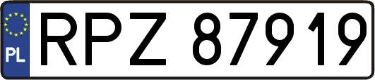 RPZ87919