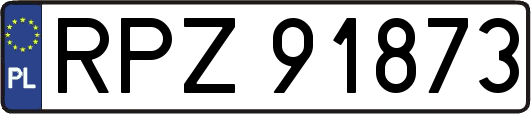 RPZ91873