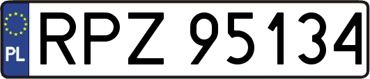 RPZ95134