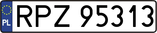 RPZ95313