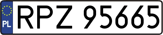 RPZ95665