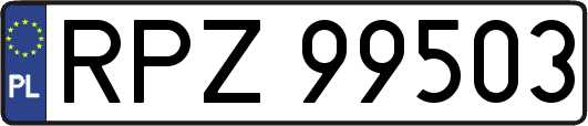 RPZ99503