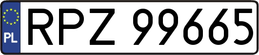 RPZ99665