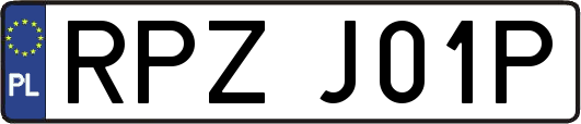 RPZJ01P