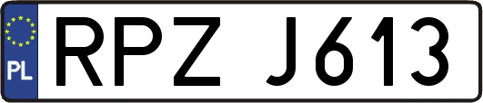 RPZJ613