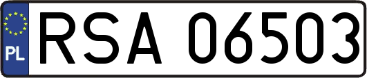 RSA06503