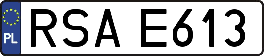 RSAE613