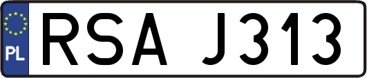 RSAJ313