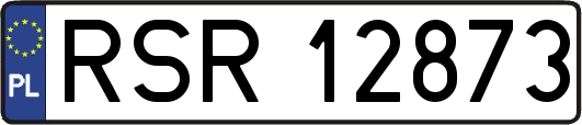 RSR12873