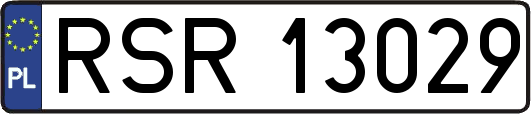 RSR13029