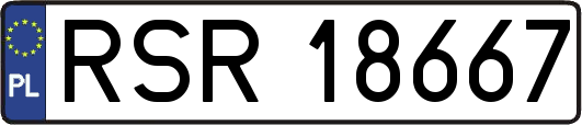 RSR18667