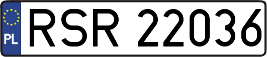 RSR22036