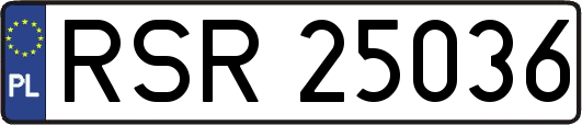 RSR25036