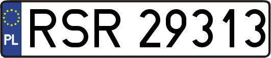RSR29313