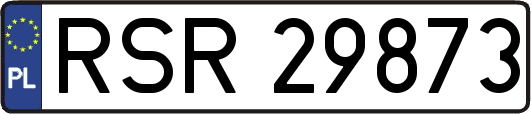 RSR29873