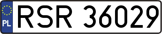 RSR36029