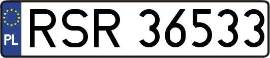 RSR36533