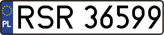 RSR36599